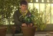 Hogwarts Legacy Fluxweed Stem