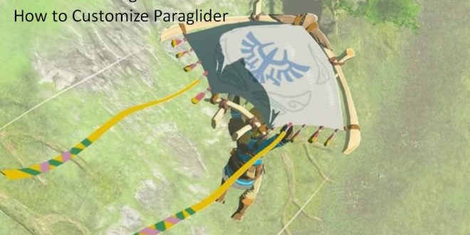 Tears of the Kingdom How To Customize Paraglider