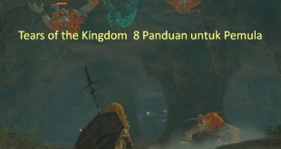 Tears of the Kingdom 8 Panduan untuk Pemula