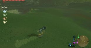Breath of the Wild How to Surf Shield (Nintendo)