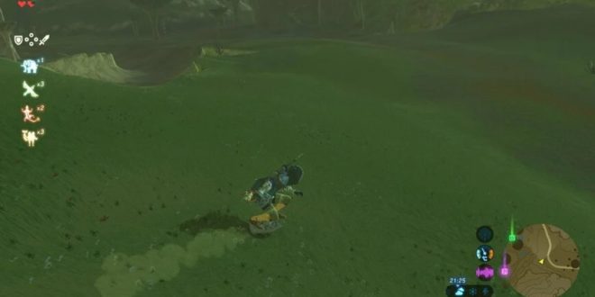 Breath of the Wild How to Surf Shield (Nintendo)