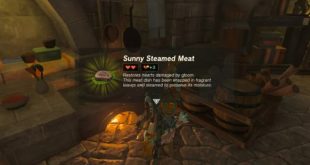 10 Resep Masakan di tears of the Kingdom - Sunny Steamed Meat (Nintendo)