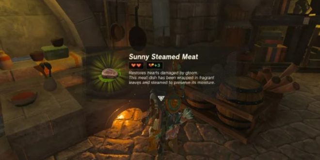 10 Resep Masakan di tears of the Kingdom - Sunny Steamed Meat (Nintendo)