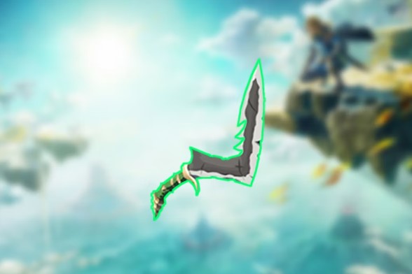 Boomerang di Zelda Tears of the Kingdom - Lizal Boomerang (Nintendo)