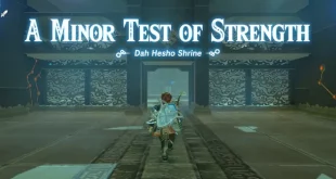 A minor test of strength Dah Hesho shrine - Zelda BotW (nintendo)