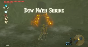 Dow Na'eh Shrine Guide (Nintendo)