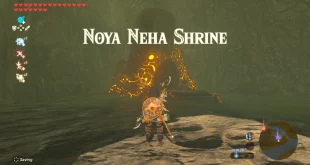 Noya Neha shrine walkthrough (Nintendo)