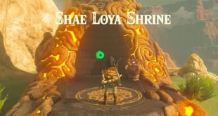 Shae Loya Shrine Guides (Nintendo)