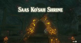 Saas Ko’sah Shrine Guide (Nintendo)