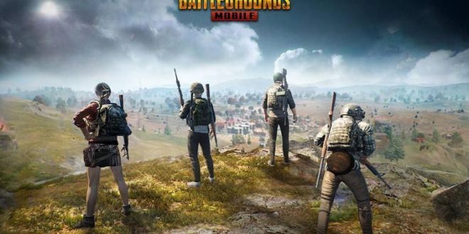 PUBG Mobile Bagi Skin