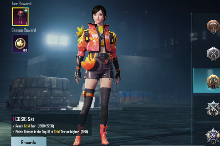 PUBG Mobile C6S16 Set(Level Infinite)