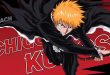 BLEACH Soul Reaper, Petualangan Baru Ichigo